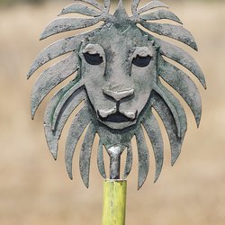 La tête de lion, le trophé à remporter !
