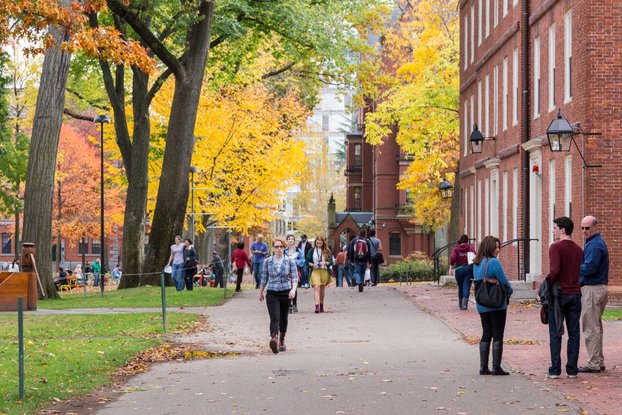 Les clés pour bien réussir sa rentrée universitaire