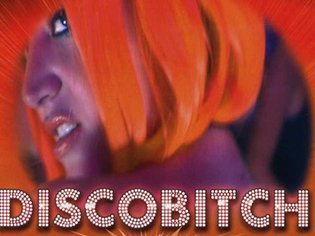 Discobitch