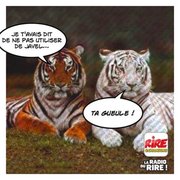 Nos amis les bêtes ont les mêmes soucis que nous