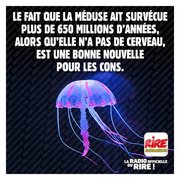 Les méduses nous aident...