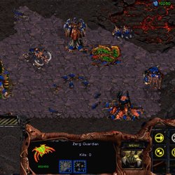 Zerg SD