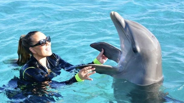 Les infos du Réveil Chérie : La voix de Mariah Carey fait réagir les dauphins