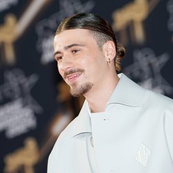 Le Tapis Rouge - NRJ Music Awards 2024