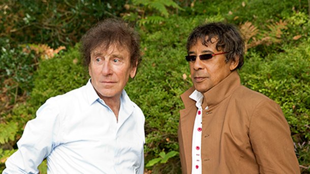 Alain Souchon et Laurent Voulzy : deux artistes en osmose