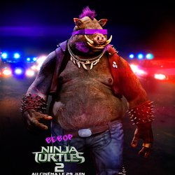 Ninja Turtles 2 