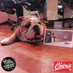 Groucho fait sa rentrée !