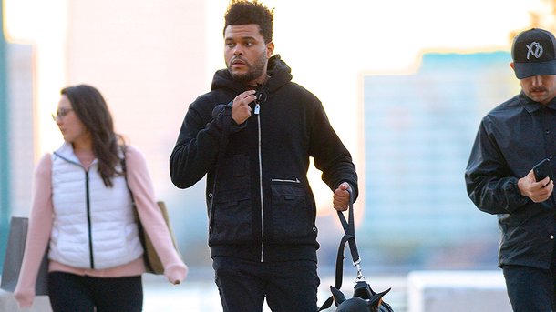The Weeknd: un album pour bientôt ?