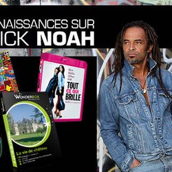 Yannick Noah - Quiz