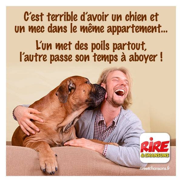 Top 100 Des Blagues Un Chien Et Un Mec Dans Un Appartement Images Top 100 Des Blagues Un Chien Et Un Mec Dans Un Appartement Images