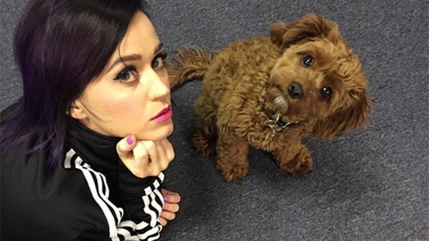 Katy Perry : la grosse gaffe!