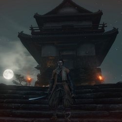 Sekiro : Shadows Die Twice
