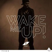WAKE ME UP