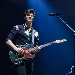 Shawn Mendes a électrisé le public parisien