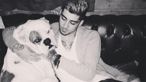 Zayn Malik continue de jouer les mannequins sur Instagram!