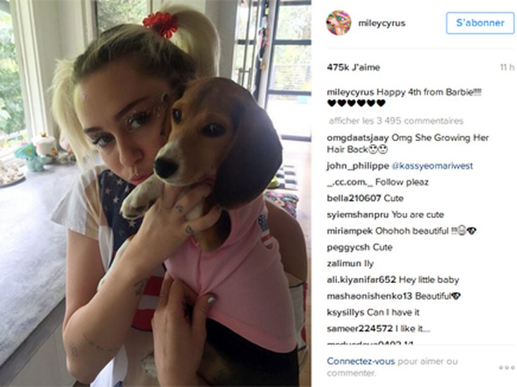 Miley Cyrus et son nouveau compagnon