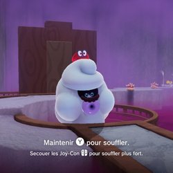 Oui, il s'agit bien d'une transformation de Mario !
