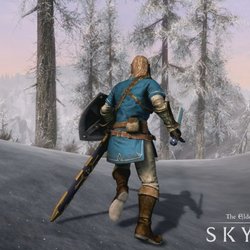 The Elder Scrolls V : Skyrim