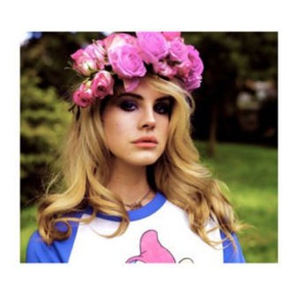 La chanteuse Lana del Rey 