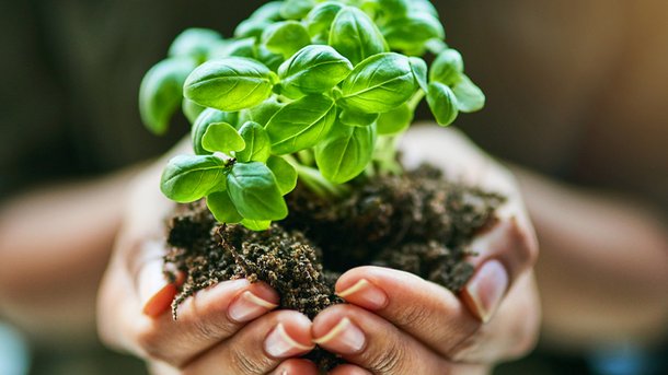 Les infos du Réveil Chérie: C'est la Journée mondiale du recyclage !