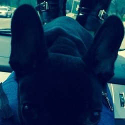 lady-gaga