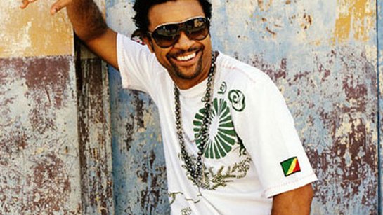 Shaggy