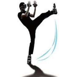 Cerevo / CES 2017