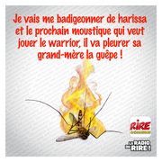 Blague été : combattre les moustiques avec de la crème