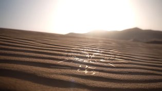 Rallye Aïcha des Gazelles 2026 - Étape 2