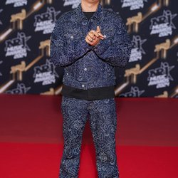 Le Tapis Rouge - NRJ Music Awards 2024