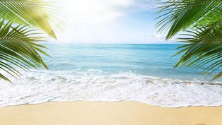 Les infos du Réveil Chérie :  4 millions de cahiers de vacances sont vendus chaque été