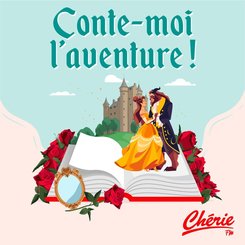 COLLECTION "LES GRANDS CLASSIQUES" - La Belle et la Bête - d'après Madame Leprince de Beaumont