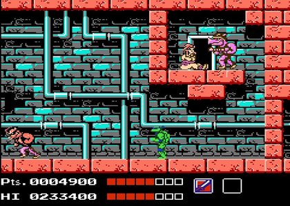 Tortues Ninja (Ninja Turtles)