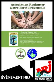 Replanter notre Forêt Provençale