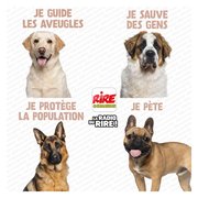 A vous de choisir ...