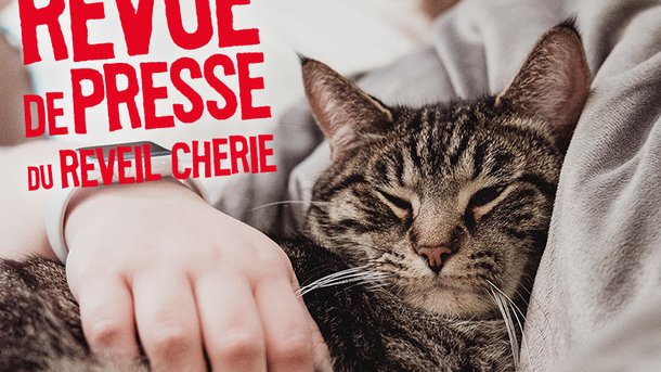 Tu penses à quoi du jour : Les amateurs de chats ou de chiens seraient plus heureux dans la vie