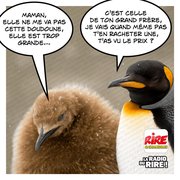 Vivement les soldes