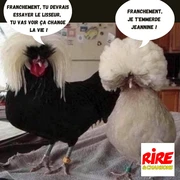 Un bon brushing, ça change tout