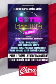 I Gotta Feeling - La Tournée