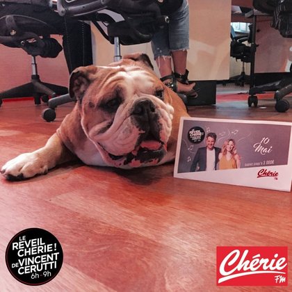 Groucho fait sa rentrée !