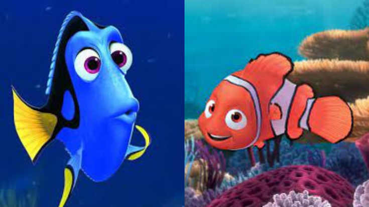 Dory et Némo