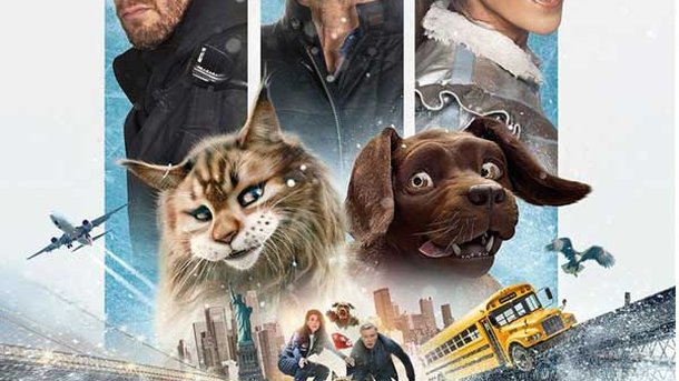 Jeu concours - Chien et Chat  - Un film de Reem Kherici - Avec Franck Dubosc, Reem Kherici, Philippe Lacheau et avec les voix d’Inès Reg et Artus - Places de cinéma à gagner