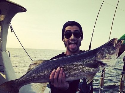 zayn-malik