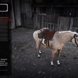 Il est donc primordial de bien s'occuper de son destrier. On peut aussi le personnaliser de manière assez poussée.